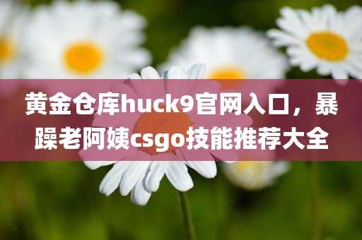 黄金仓库huck9官网入口，暴躁老阿姨csgo技能推荐大全