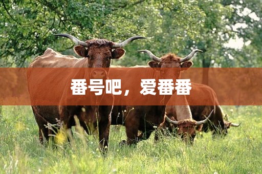 番号吧，爱番番