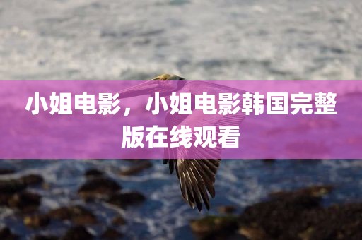 小姐电影，小姐电影韩国完整版在线观看