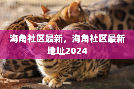 海角社区最新，海角社区最新地址2024