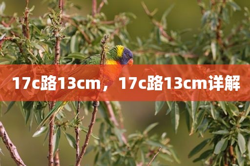 17c路13cm，17c路13cm详解