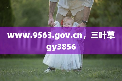 www.9563.gov.cn，三叶草gy3856