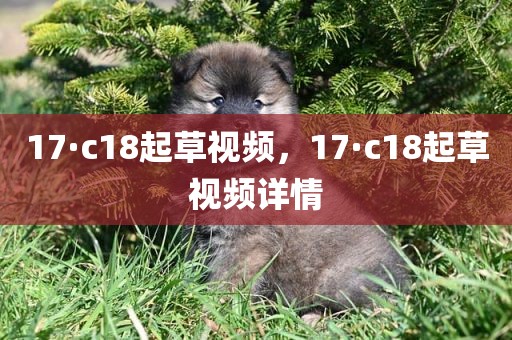 17·c18起草视频，17·c18起草视频详情