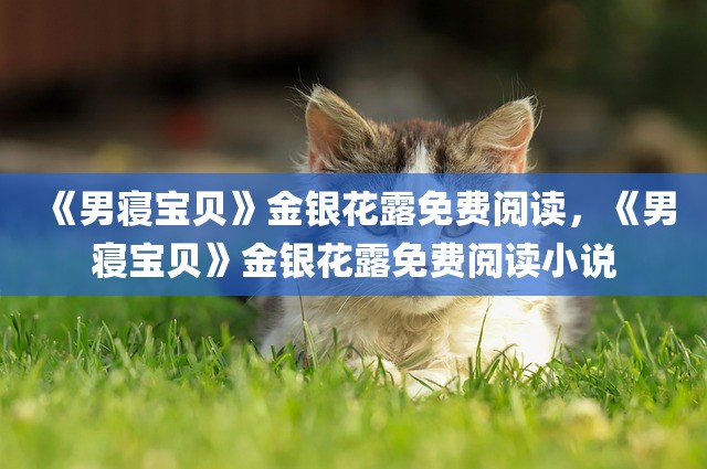 《男寝宝贝》金银花露免费阅读，《男寝宝贝》金银花露免费阅读小说