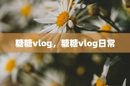 糖糖vlog，糖糖vlog日常