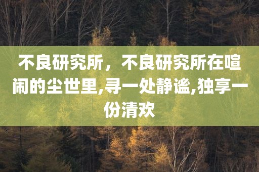 不良研究所，不良研究所在喧闹的尘世里,寻一处静谧,独享一份清欢