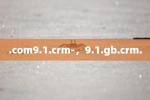 .com9.1.crm-，9.1.gb.crm.