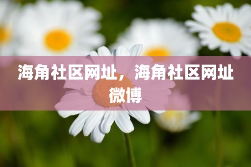海角社区网址，海角社区网址微博