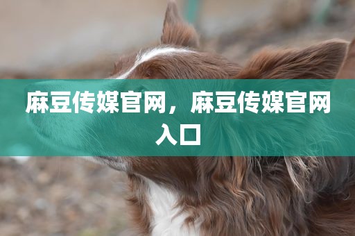 麻豆传媒官网，麻豆传媒官网入囗
