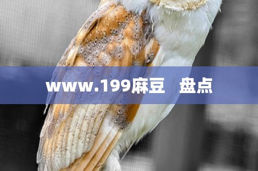 www.199麻豆   盘点
