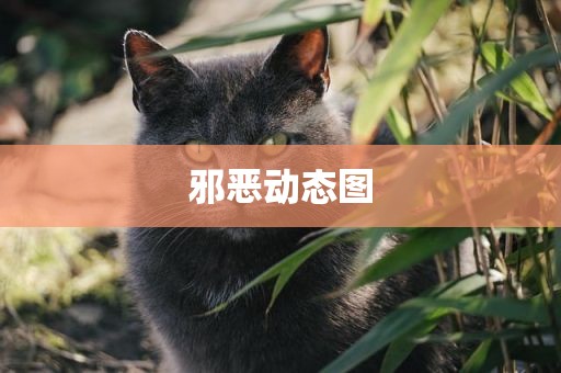 邪恶动态图