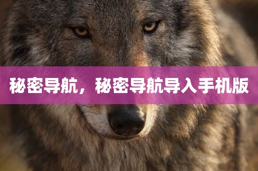 秘密导航，秘密导航导入手机版