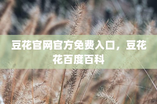豆花官网官方免费入口，豆花花百度百科