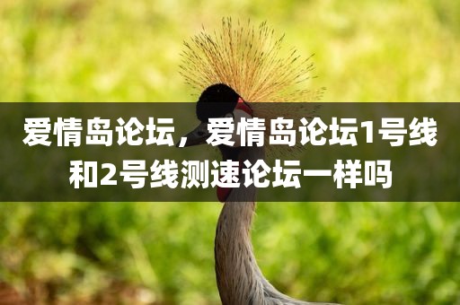 爱情岛论坛，爱情岛论坛1号线和2号线测速论坛一样吗