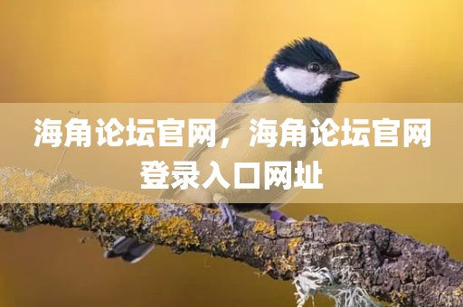 海角论坛官网，海角论坛官网登录入口网址