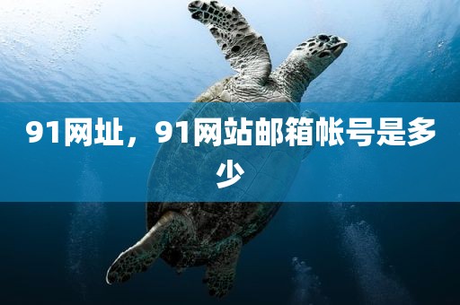 91网址，91网站邮箱帐号是多少