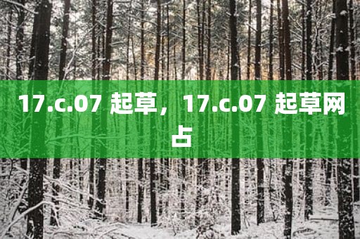 17.c.07 起草，17.c.07 起草网占