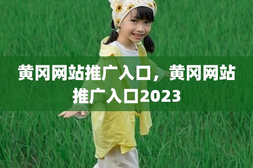 黄冈网站推广入口，黄冈网站推广入口2023