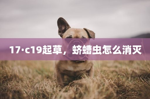 17·c19起草，蛴螬虫怎么消灭
