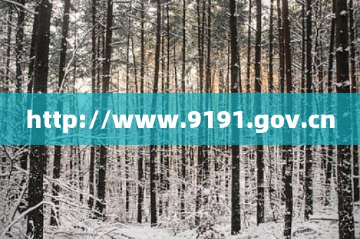 http://www.9191.gov.cn