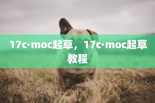 17c·moc起草，17c·moc起草教程