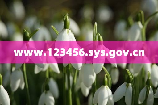 www.123456.sys.gov.cn