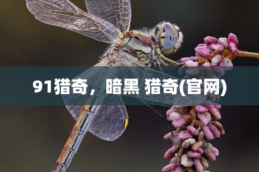 91猎奇，暗黑 猎奇(官网)