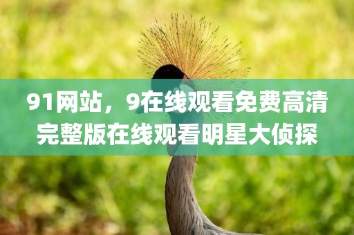 91网站，9在线观看免费高清完整版在线观看明星大侦探