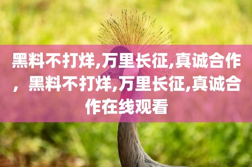 黑料不打烊,万里长征,真诚合作，黑料不打烊,万里长征,真诚合作在线观看