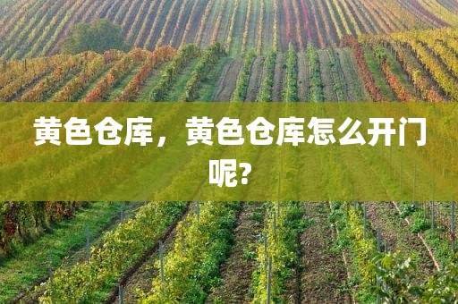 黄色仓库，黄色仓库怎么开门呢?