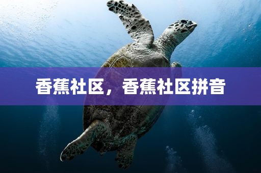 香蕉社区，香蕉社区拼音