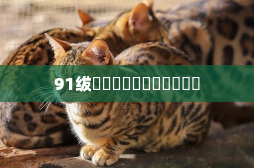 91绂侌煃嗮煃戰煍炩潓鉂屸潓
