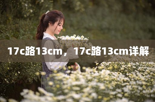 17c路13cm，17c路13cm详解