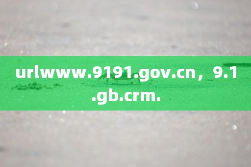 urlwww.9191.gov.cn，9.1.gb.crm.