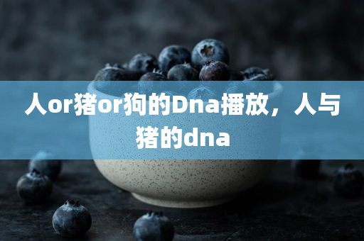 人or猪or狗的Dna播放，人与猪的dna