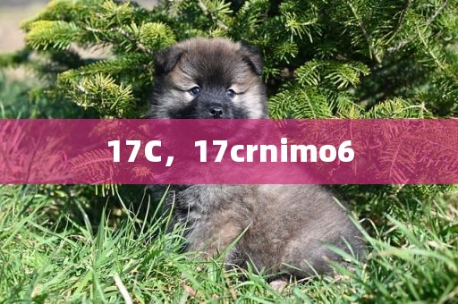 17C，17crnimo6