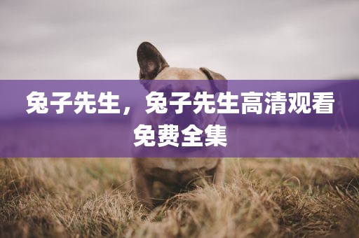 兔子先生，兔子先生高清观看免费全集
