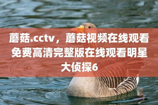 蘑菇.cctv，蘑菇视频在线观看免费高清完整版在线观看明星大侦探6