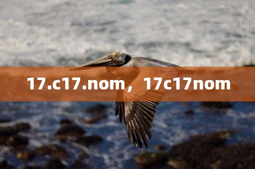 17.c17.nom，17c17nom