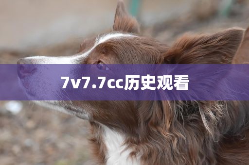 7v7.7cc历史观看