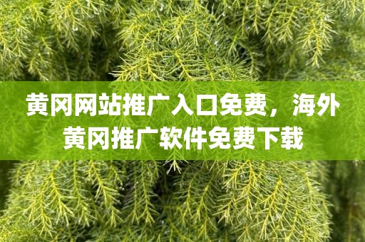 黄冈网站推广入口免费，海外黄冈推广软件免费下载