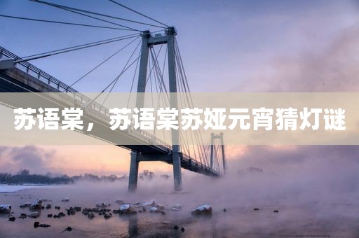 苏语棠，苏语棠苏娅元宵猜灯谜