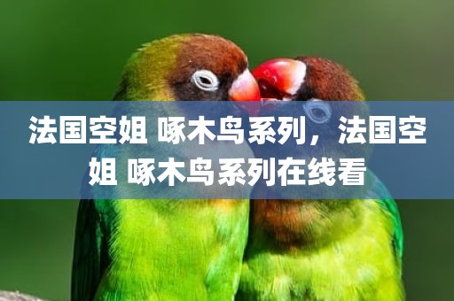 法国空姐 啄木鸟系列，法国空姐 啄木鸟系列在线看
