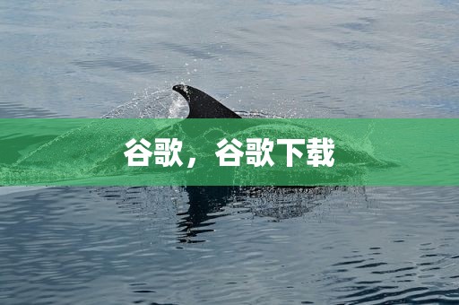 谷歌，谷歌下载