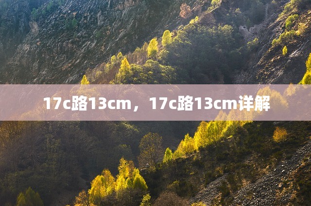 17c路13cm，17c路13cm详解