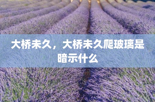 大桥未久，大桥未久爬玻璃是暗示什么