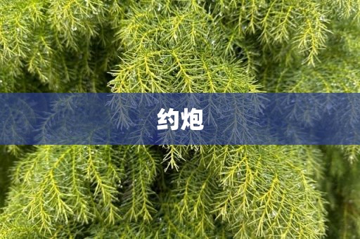 约炮