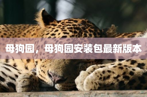 母狗园，母狗园安装包最新版本