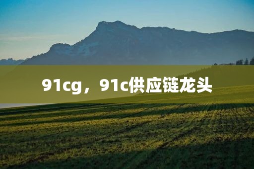 91cg，91c供应链龙头