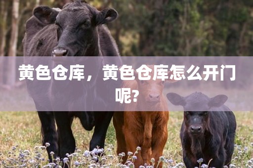 黄色仓库，黄色仓库怎么开门呢?